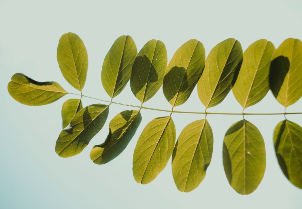 Sustainability in action with Venessa Parekh