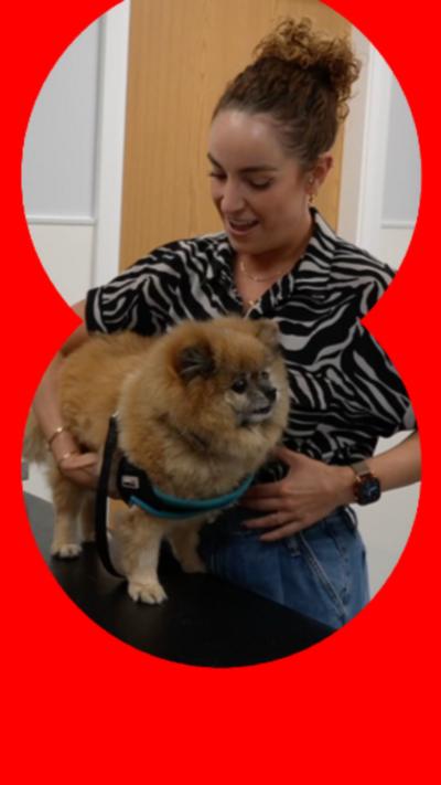 A woman holding a small, fluffy dog that is stood on a table in a vets.