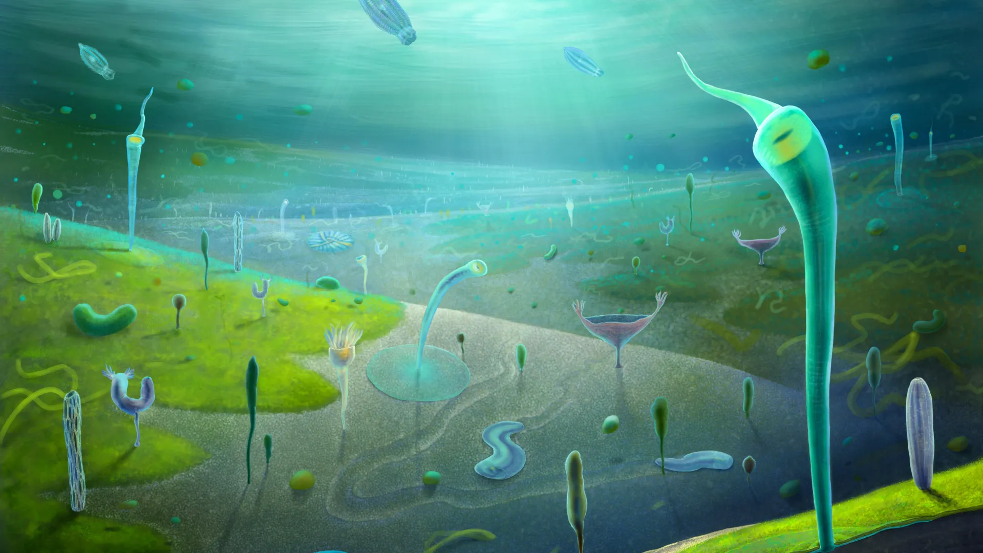 Fossils Rewrite When Complex Life Began